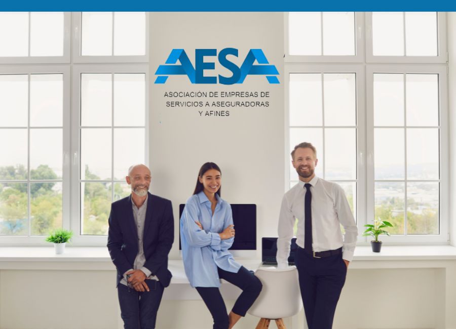 AESA defiende los intereses profesionales, tecnológicos y comerciales de sus miembros
